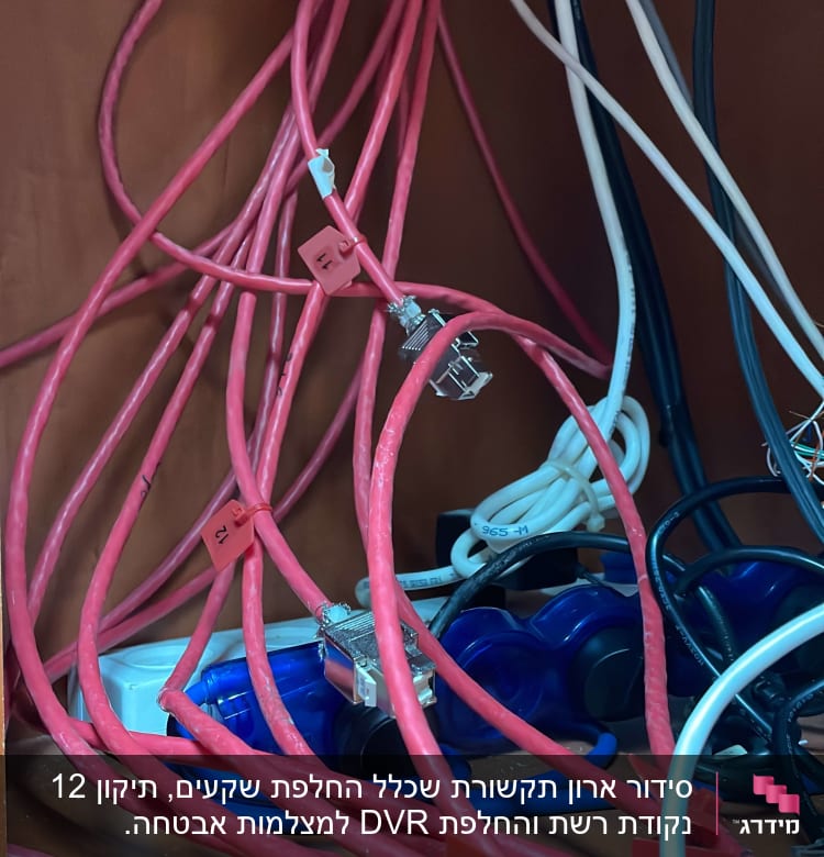 כבלים ורודים עם מחברים ותגיות מספרים